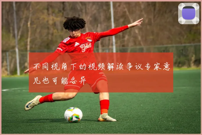 不同视角下的视频解读争议专家意见也可能各异