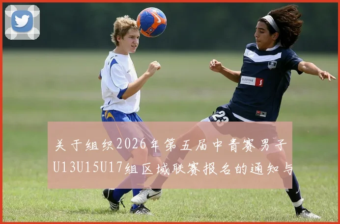 关于组织2026年第五届中青赛男子U13U15U17组区域联赛报名的通知与要求
