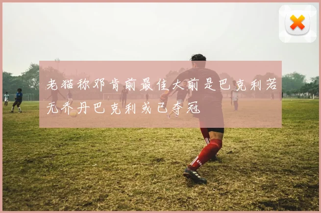 老猫称邓肯前最佳大前是巴克利若无乔丹巴克利或已夺冠